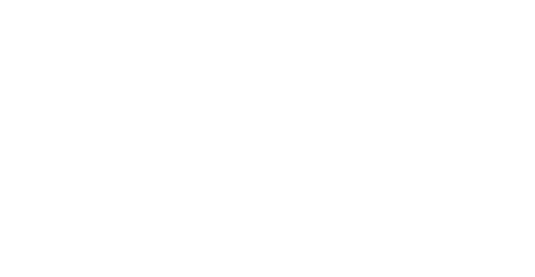 Alvia – San Borja