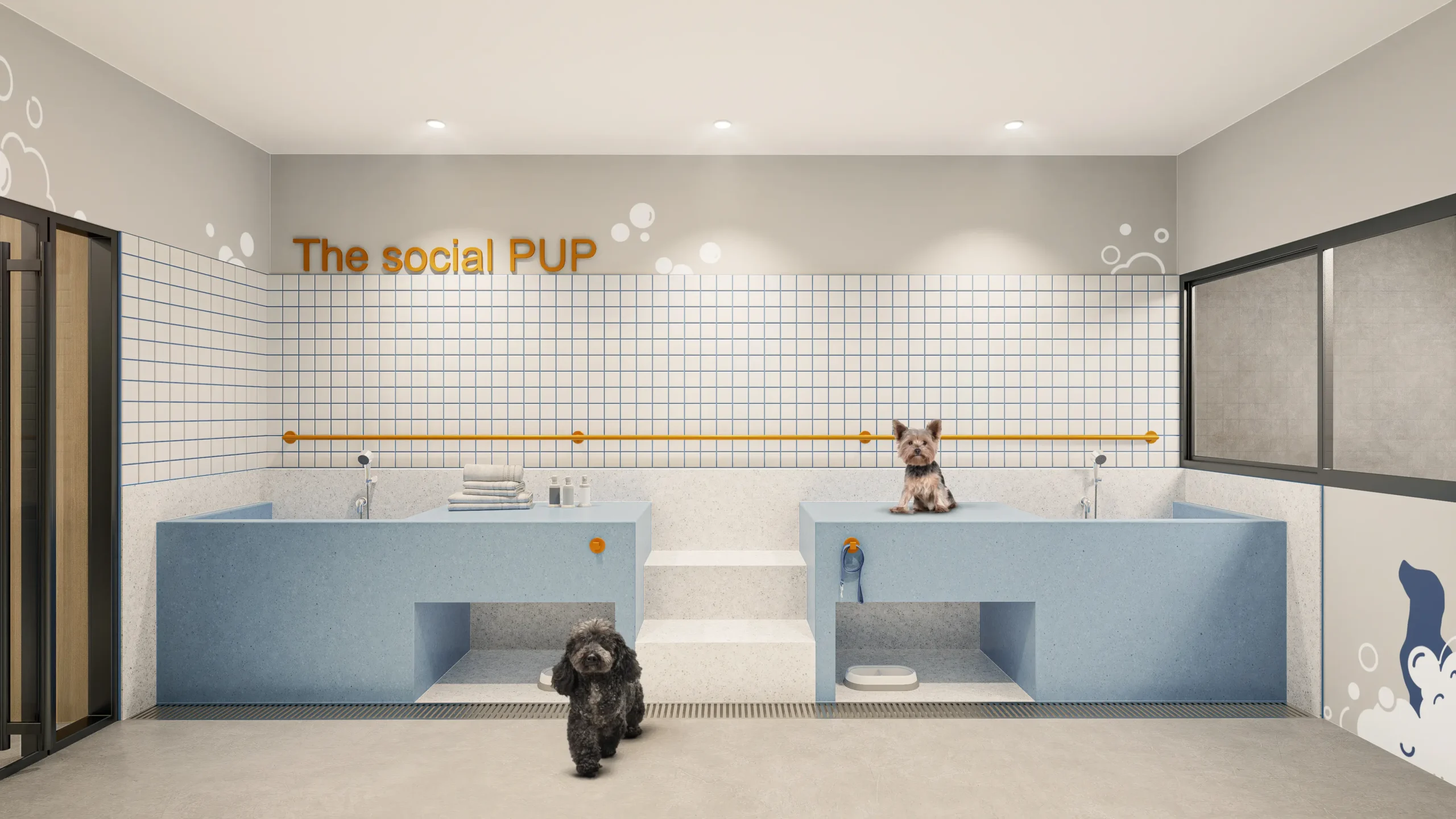 PET SPA