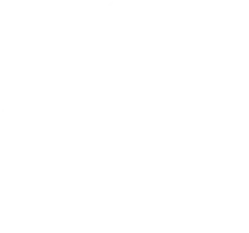Anterior