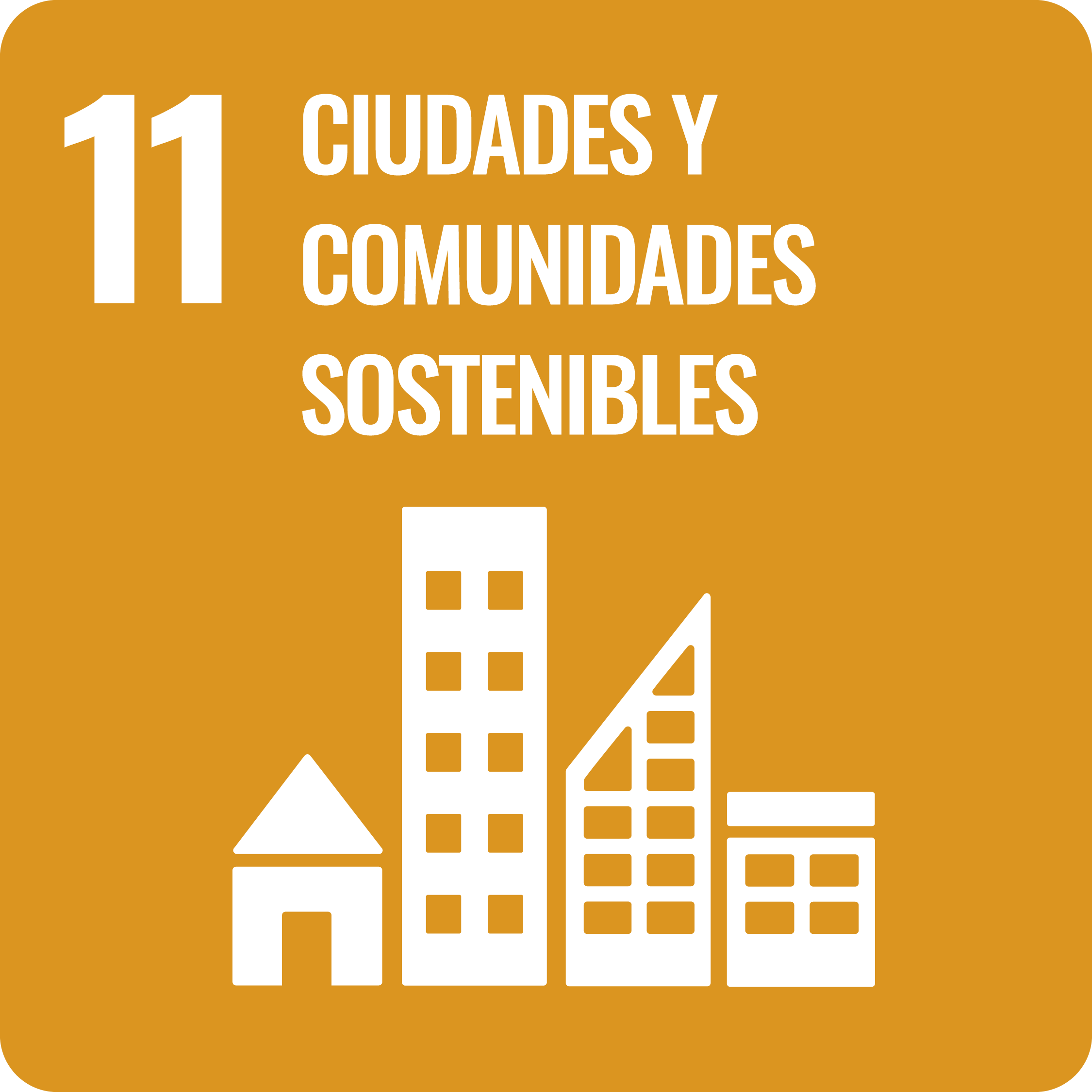 ODS 11