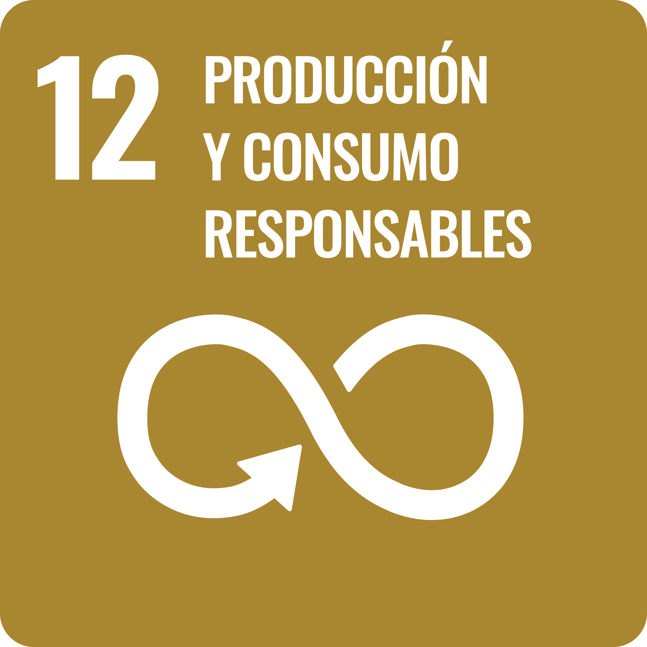 ODS 12